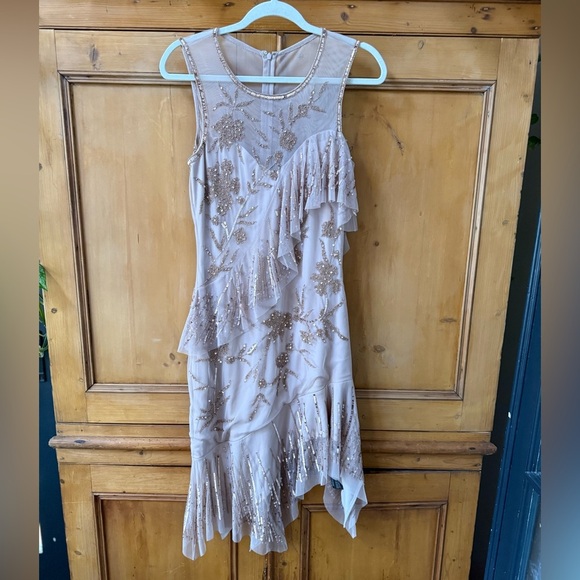 Parker Black label Florence beaded dress in Rosaline champagne nude color - Picture 3 of 10